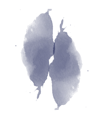 Blanc de Noirs Extra-Brut Grand cru background